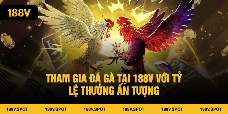 Tham gia đá gà tại 188V với tỷ lệ thưởng ấn tượng